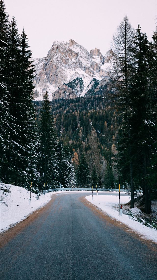 1125x2436 gray concrete road between green trees at daytime - italy iPhone Wallpaper