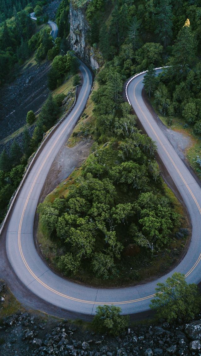 1284x2778 horseshoe road surrounded with tall trees - road iPhone Wallpaper