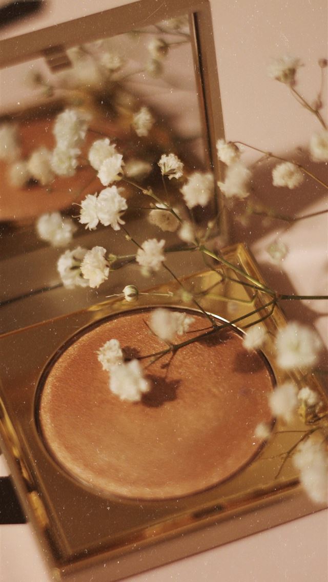1284x2778 white petaled flowers on top of conceleaer - retro iPhone Wallpaper