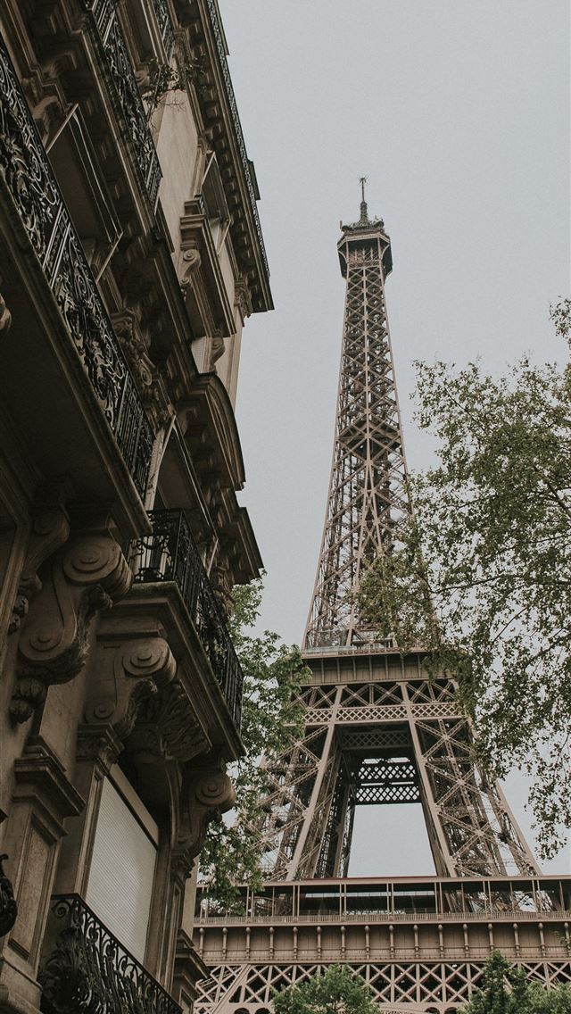 1284x2778 low angle photography of Eiffel Tower Paris - france iPhone Wallpaper