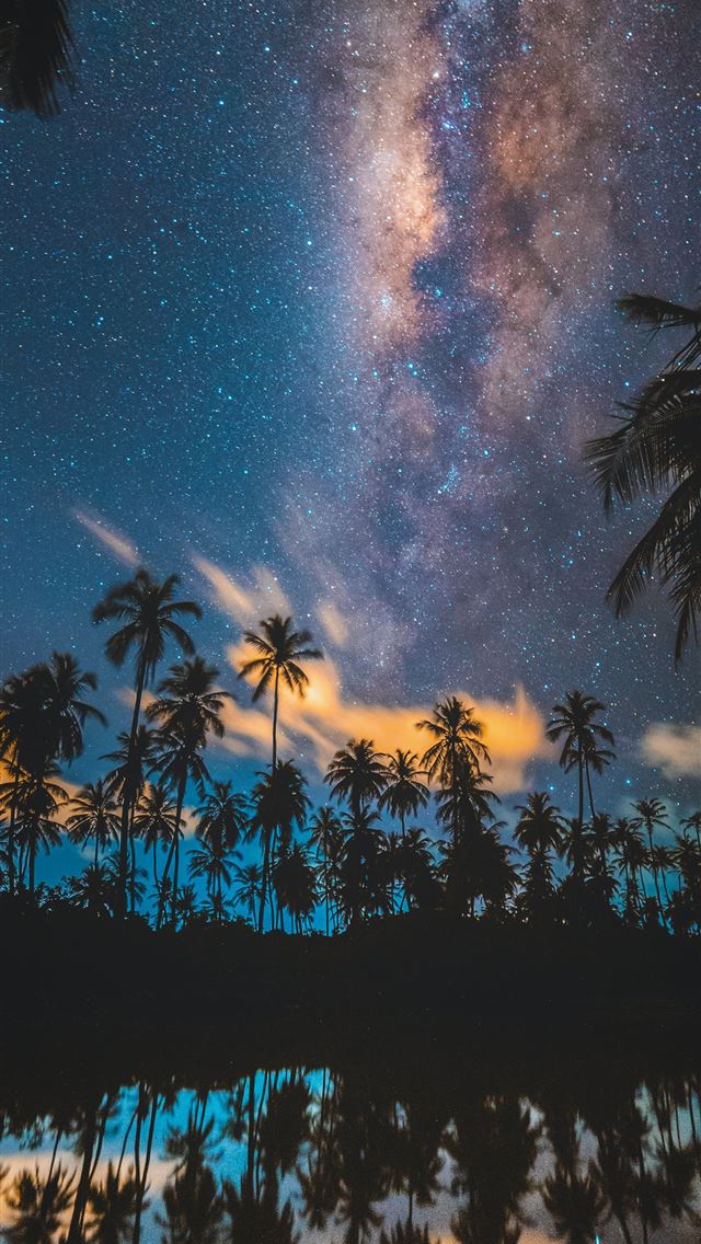 1284x2778 silhouette of coconut trees reflected on body of w... -  iphone 13 Wallpaper