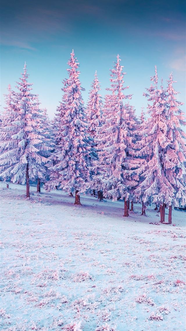 1284x2778 trees pink colorful cold hills snow 5k -  iphone 13 Wallpaper