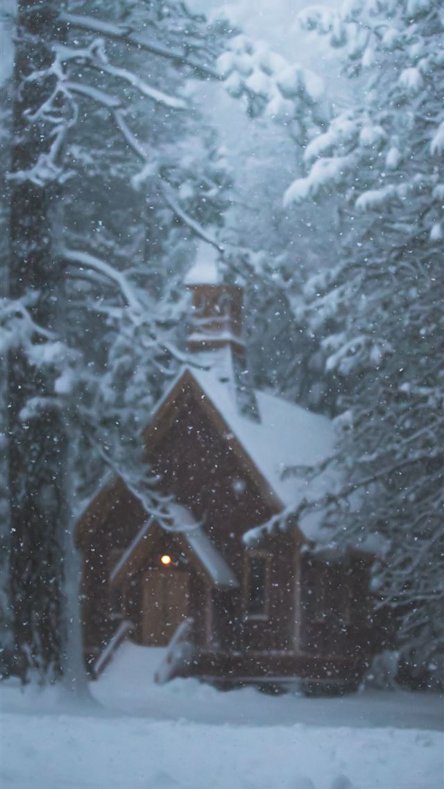 1284x2778 house and trees with snow -  iphone 13 Wallpaper