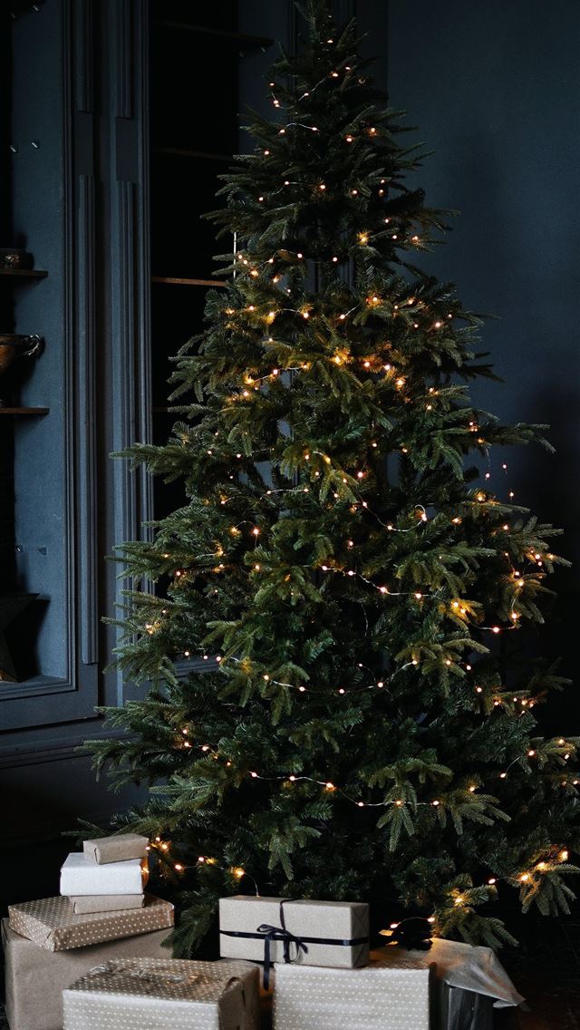 1284x2778 green christmas tree with string lights - lights iPhone Wallpaper
