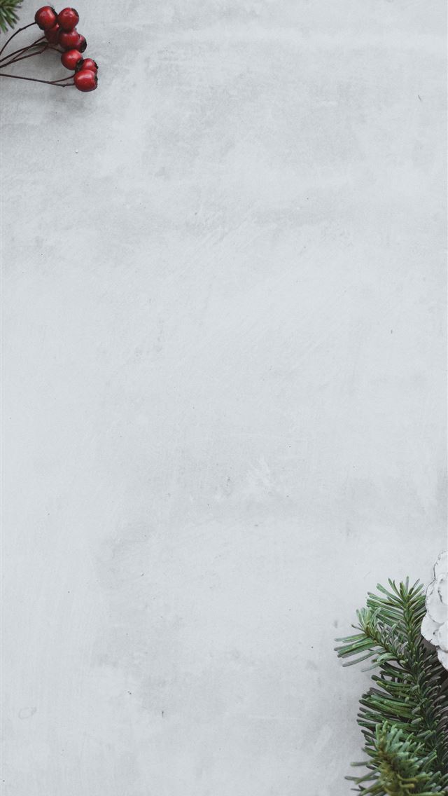1284x2778 red fruits beside pine leaves and sliced fruit on ... - holiday iPhone Wallpaper