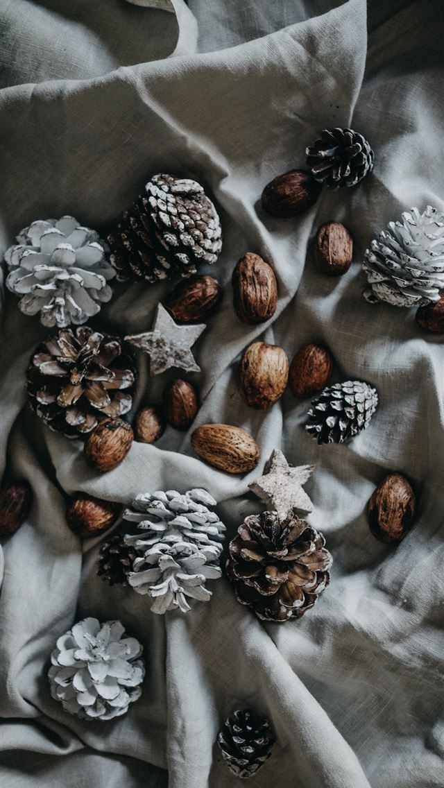1284x2778 pinecone and nut on top of blanket - holiday iPhone Wallpaper