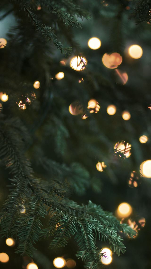 1284x2778 green christmas tree with string lights -  iphone 13 Wallpaper