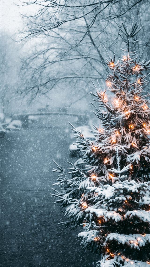 1284x2778 Christmas tree covered with snow -  iphone 13 Wallpaper