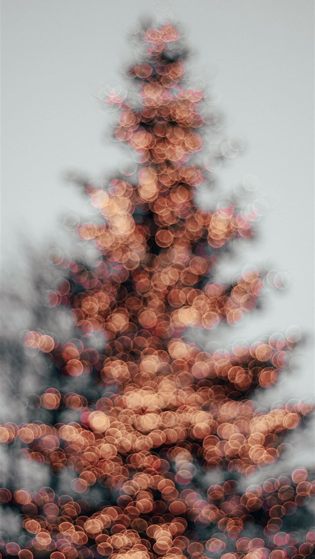 1284x2778 Bokeh Christmas tree  - christmas tree iPhone Wallpaper