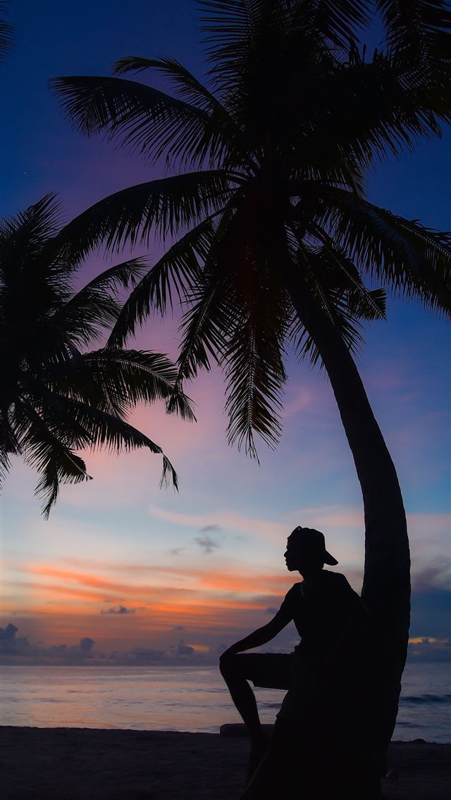 1284x2778 silhouette of man standing beside palm tree - summer iPhone Wallpaper