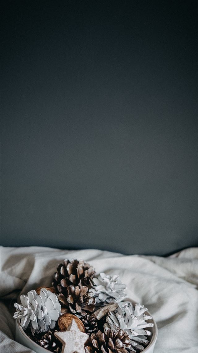 1284x2778 pine cones on gray case - holiday iPhone Wallpaper