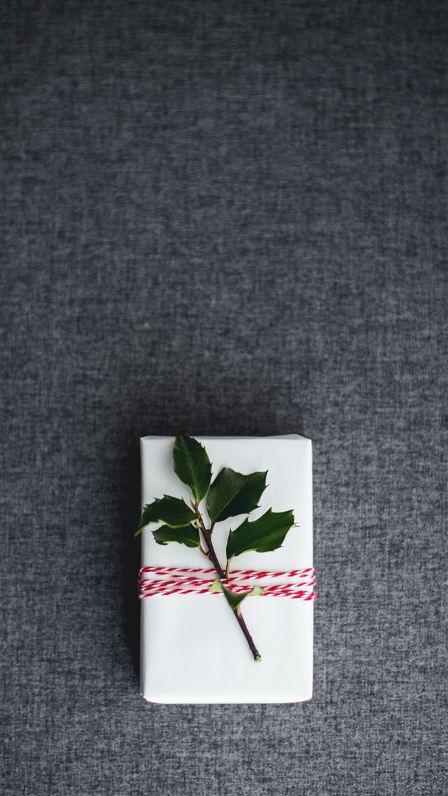 1284x2778 green leaves on white box placed on gray textile - winter iPhone Wallpaper