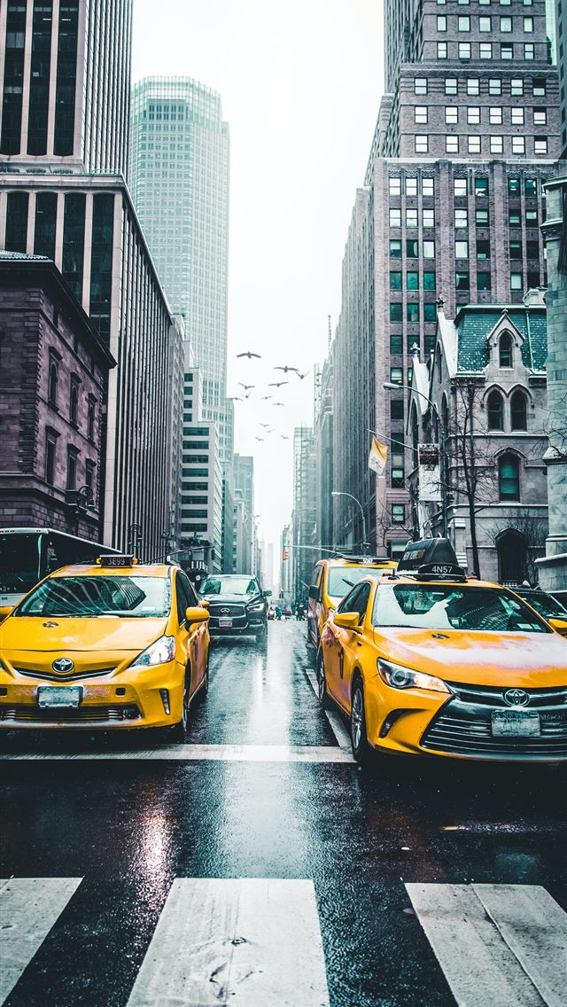 1284x2778 several car between of skycraper - new york city iPhone Wallpaper