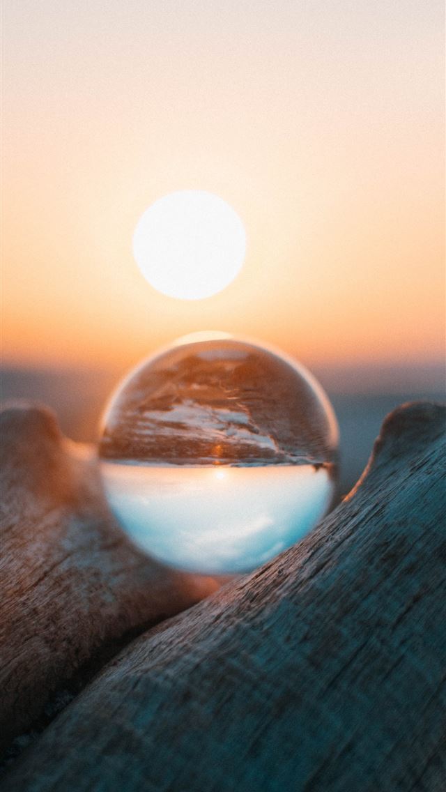 1284x2778 closeup photography of glass on top of wood branch - beautiful iPhone Wallpaper