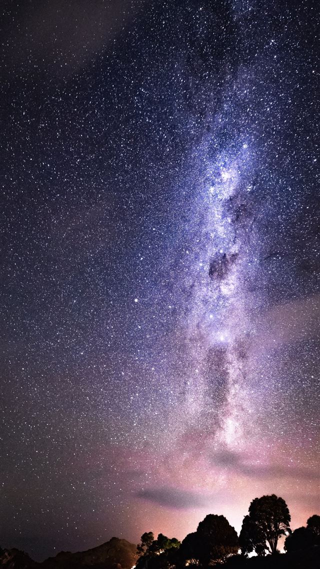 1284x2778 silhouette of tree during starry starry night -  iphone 13 Wallpaper