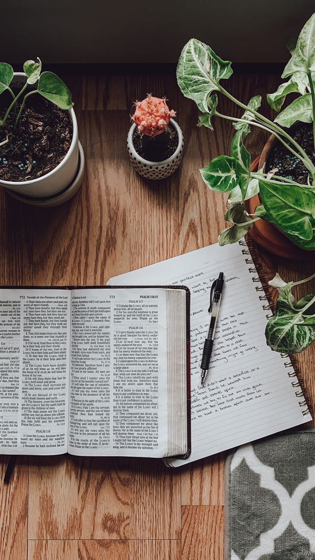 1284x2778 white book page beside green potted plant - bible iPhone Wallpaper