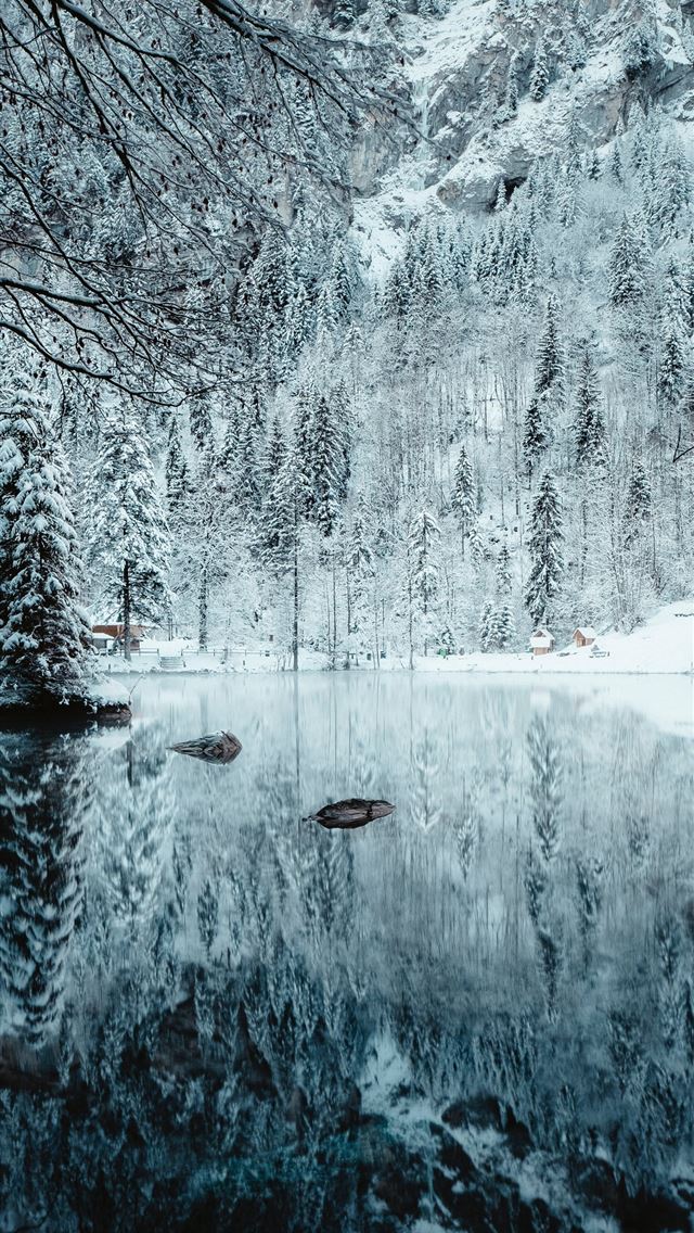 1284x2778 snow covered river and trees - winter iPhone Wallpaper