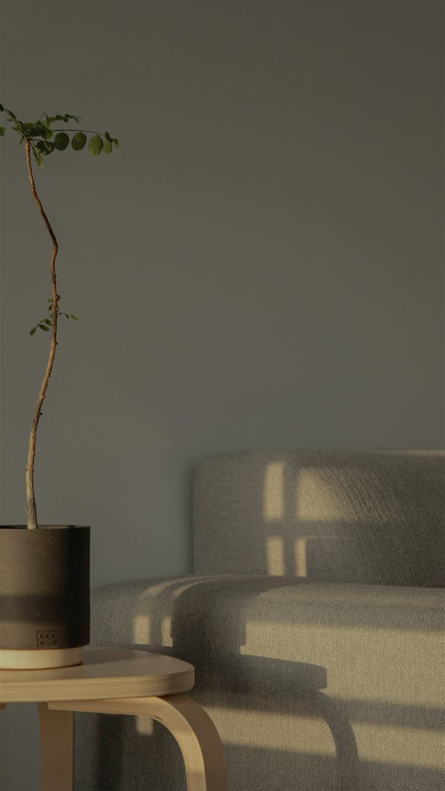 1284x2778 black and gray round container on brown wooden tab... - los angeles iPhone Wallpaper