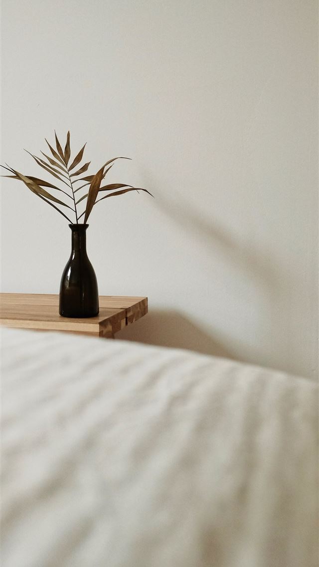 1284x2778 brown and green plant on brown wooden table - germany iPhone Wallpaper