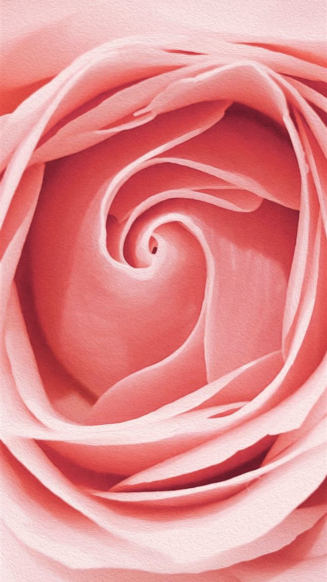 1284x2778 pink flower - pink iPhone Wallpaper