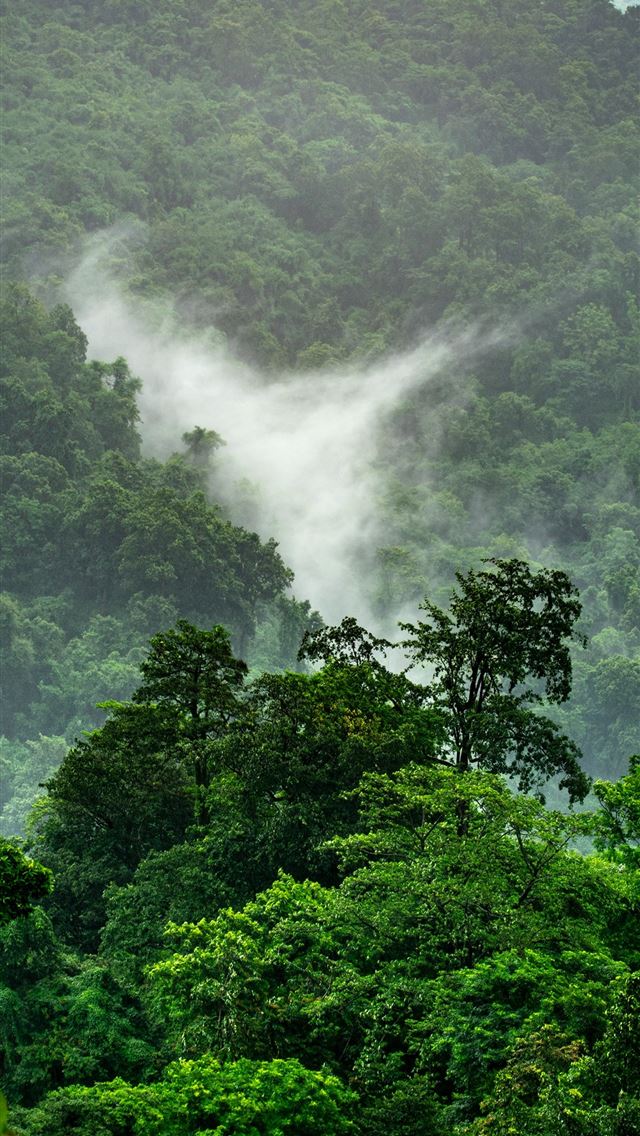 1284x2778 landscape photo of trees on mountain - clouds iPhone Wallpaper