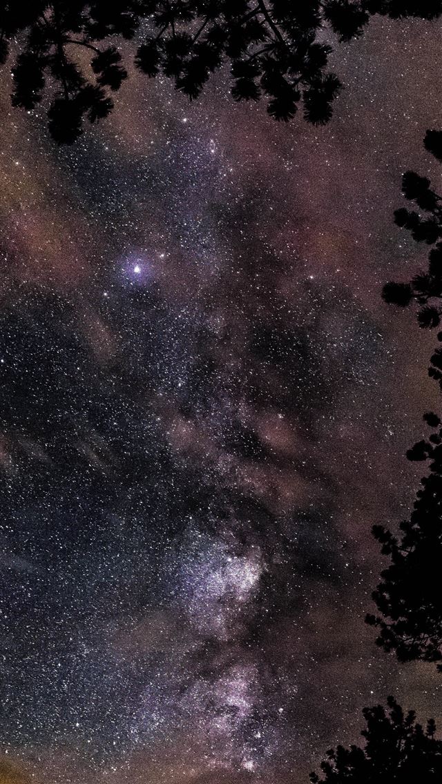 1284x2778 star gazing photography - nebula iPhone Wallpaper