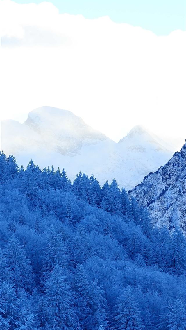1284x2778 mountains snow fir forest winter -  iPhone Wallpaper