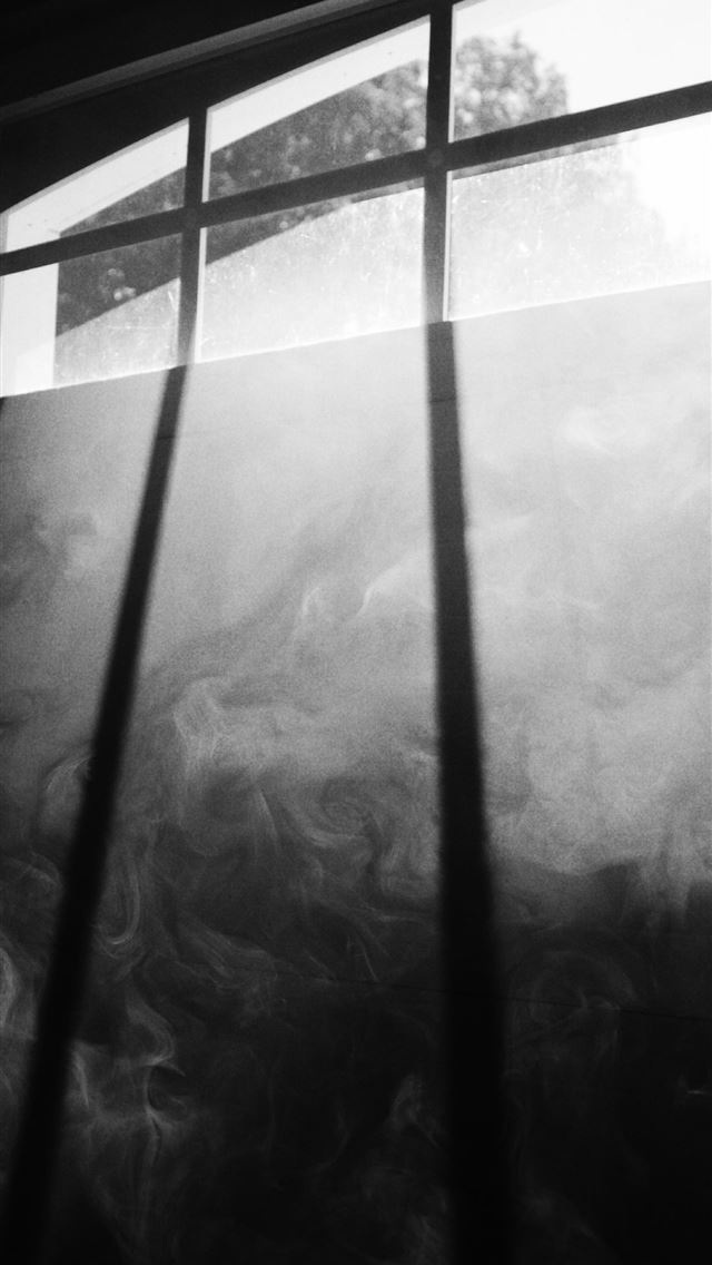 1284x2778 white windowpane during daytime -  iPhone Wallpaper