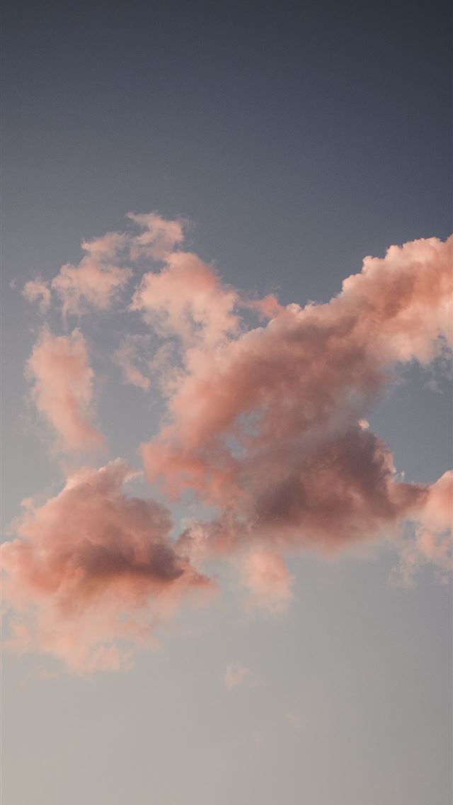 1284x2778 white clouds and blue sky during daytime - pink iPhone Wallpaper