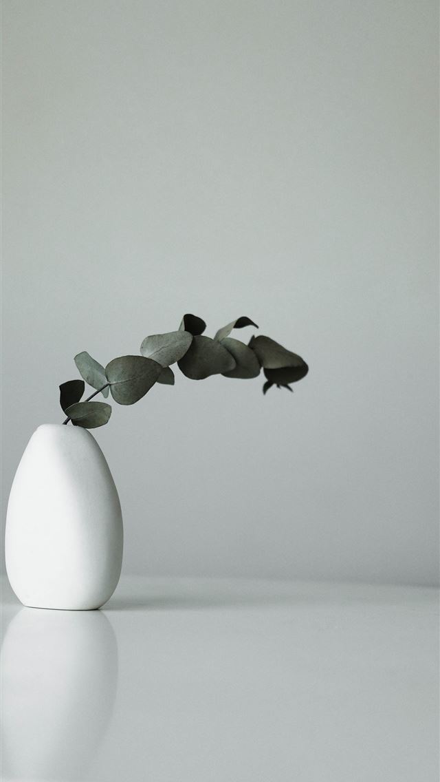1284x2778 white ceramic vase with flower -  iPhone Wallpaper