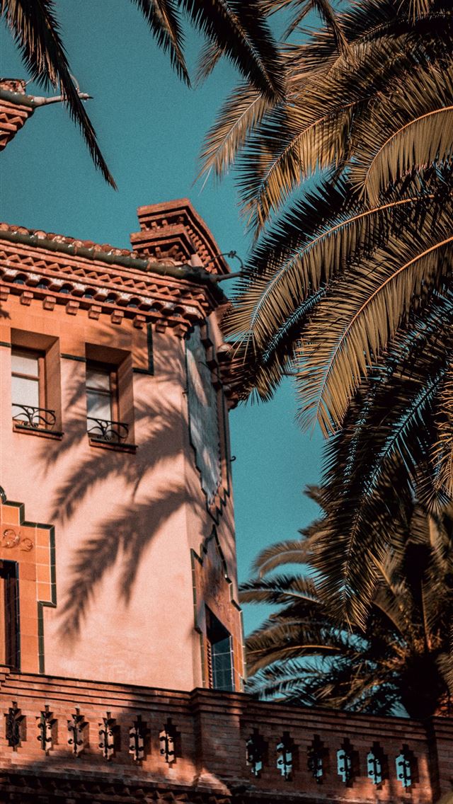 1284x2778 Cool villa in Salou - palm tree iPhone Wallpaper