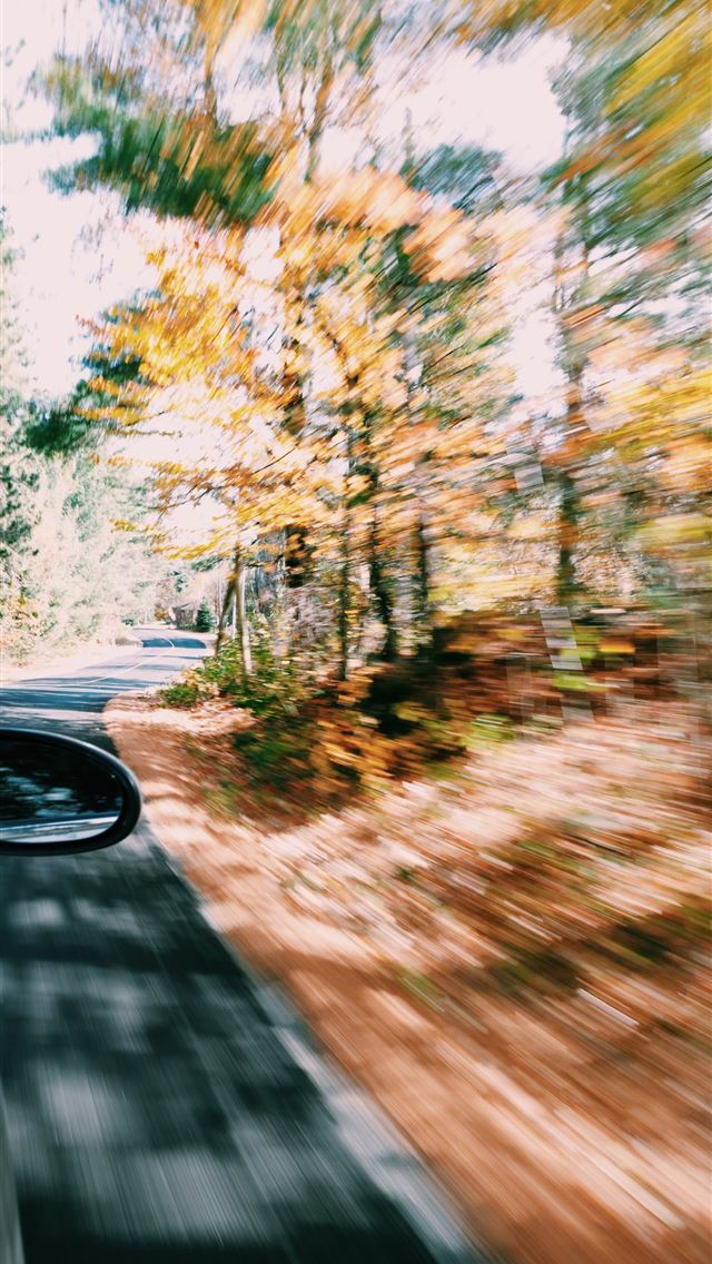 1284x2778 running vehicle showing trees - canada iPhone Wallpaper