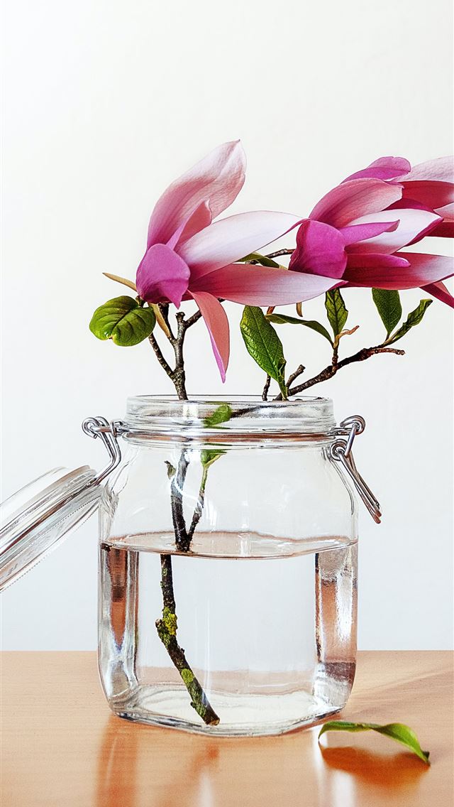 1284x2778 pink petaled flowers in clear glass mason jar - pink iPhone Wallpaper