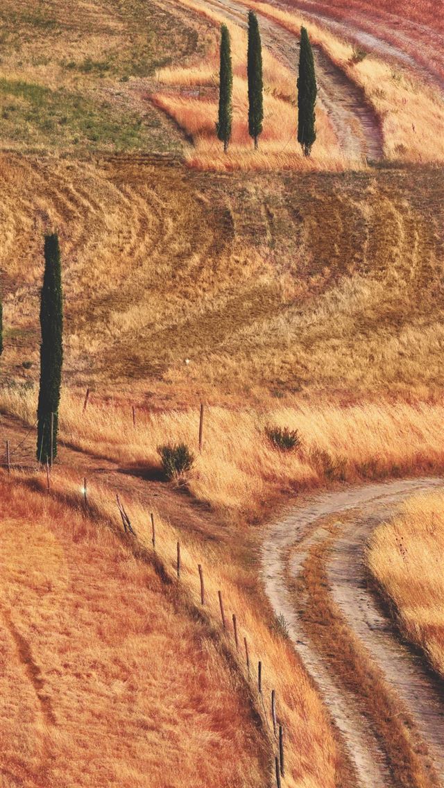1284x2778 landmark photography of orange and red grasses fie... - color iPhone Wallpaper