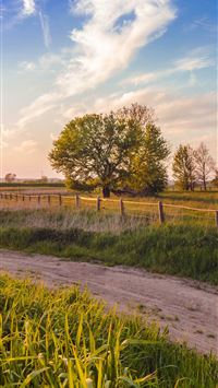 green grass field and trees wallpaper