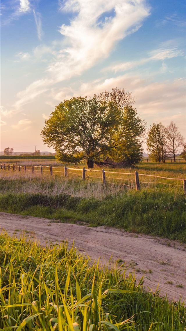 1284x2778 green grass field and trees -  iphone 13 Wallpaper