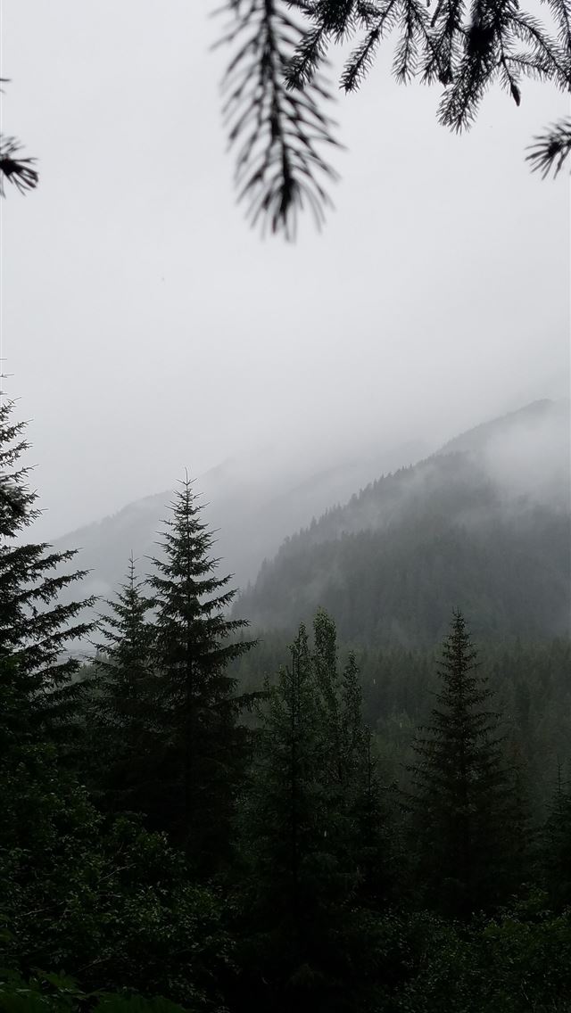1284x2778 mountain covered with fogs -  iphone 13 Wallpaper