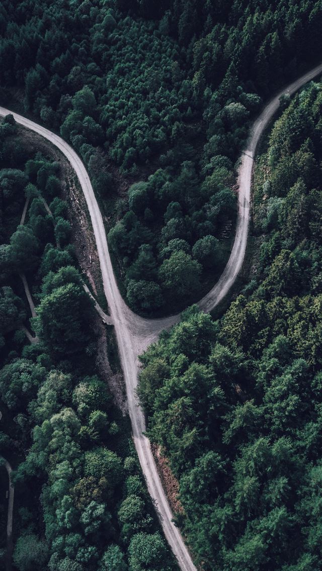 1284x2778 top view photography of forest - road iPhone Wallpaper