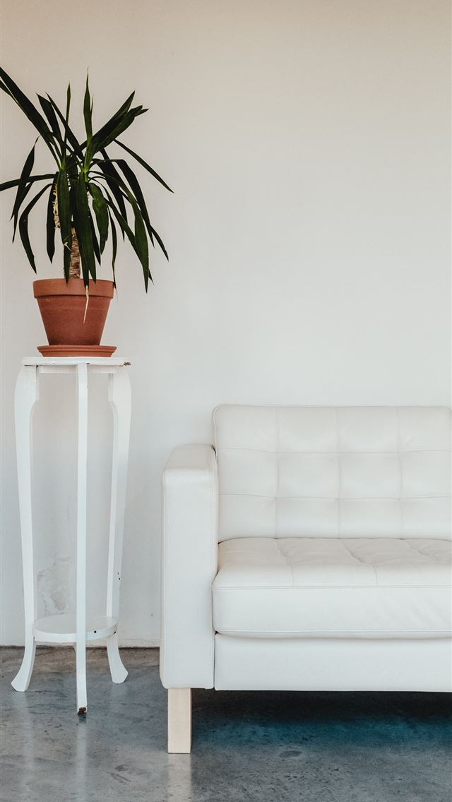 1284x2778 green leaf plant on brown pot - space iPhone Wallpaper