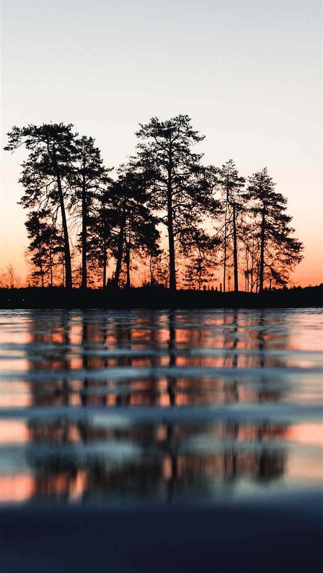 1284x2778 silhouette of trees between body of water and sky -  iphone 13 Wallpaper