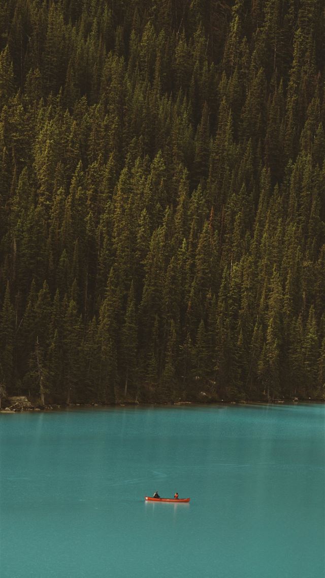 1284x2778 body of water near trees - canada iPhone Wallpaper