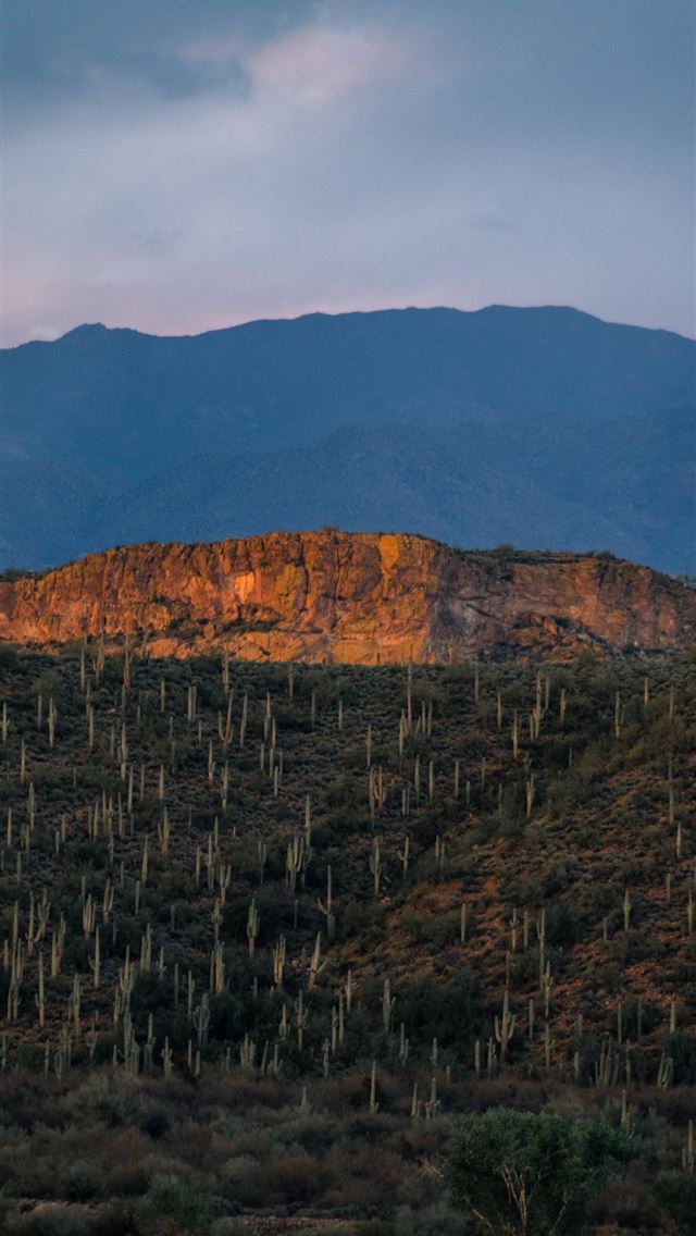 1284x2778 brown mountain under blue sky during daytime - desert iPhone Wallpaper