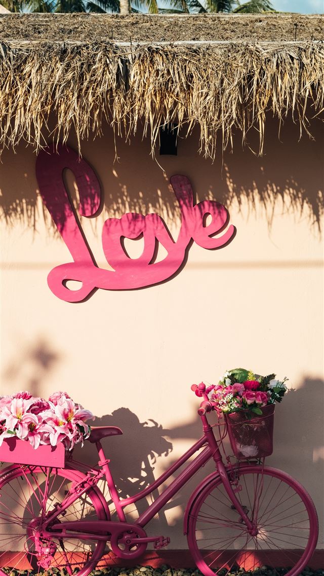1284x2778 pink city bicycle - indonesia iPhone Wallpaper