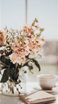 white and pink flowers on white ceramic teacup on ... wallpaper