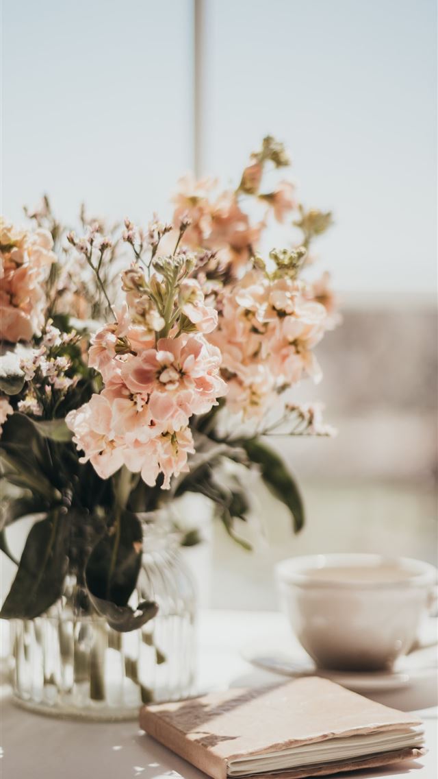 1284x2778 white and pink flowers on white ceramic teacup on ... -  iphone 13 Wallpaper