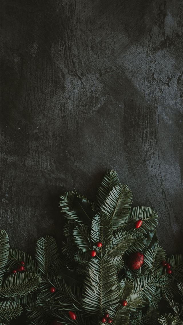 1284x2778 green leaf tree -  iphone 13 Wallpaper