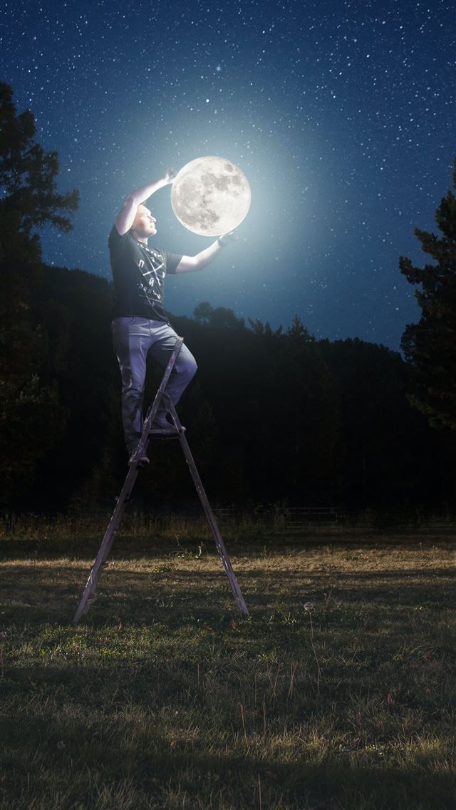 1284x2778 man standing on ladder near trees during daytime - abstract iPhone Wallpaper