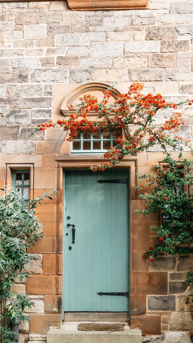 1284x2778 blue wooden door beside green plants - united kingdom iPhone Wallpaper