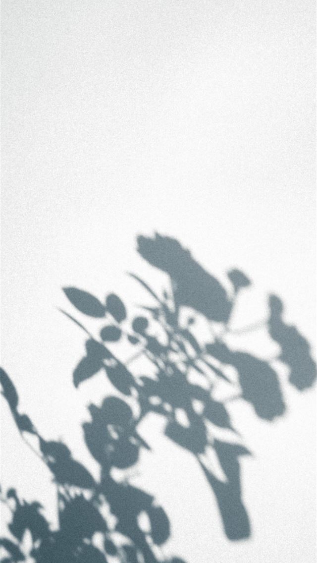 1284x2778 white and black floral gamrent -  iPhone Wallpaper