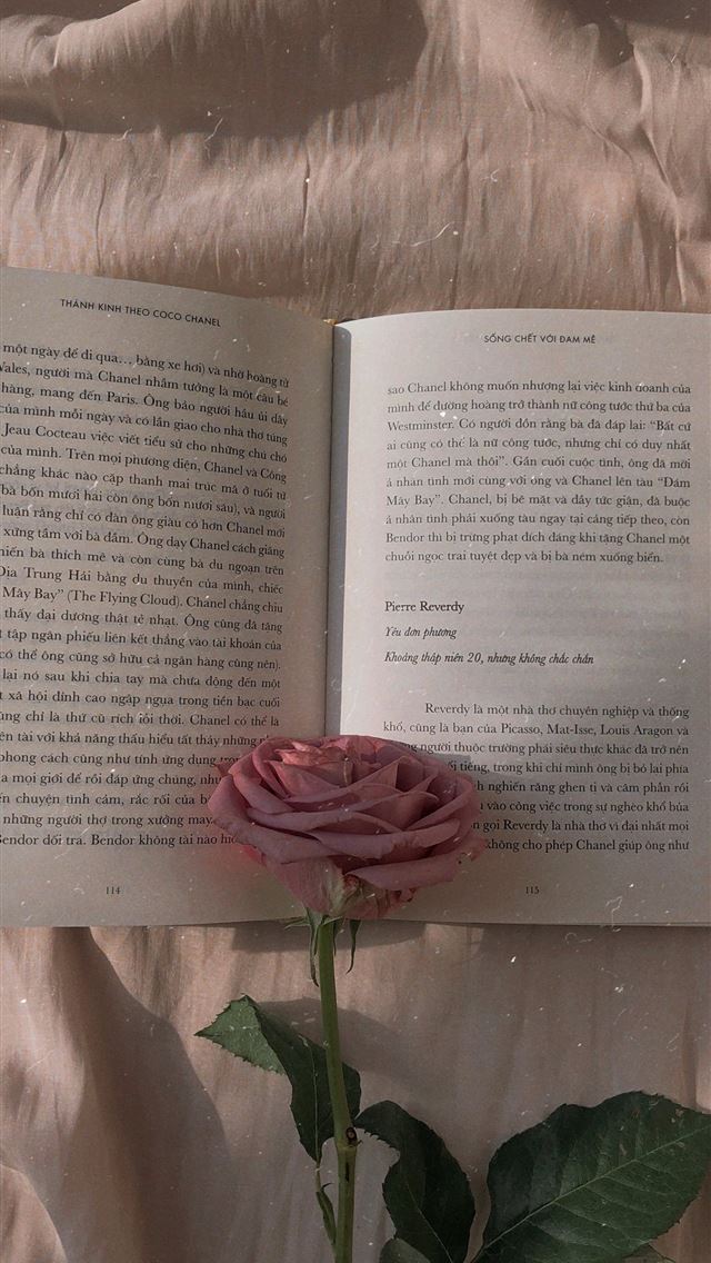1284x2778 pink rose on open book - vietnam iPhone Wallpaper